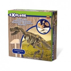 Excavate a T-rex
